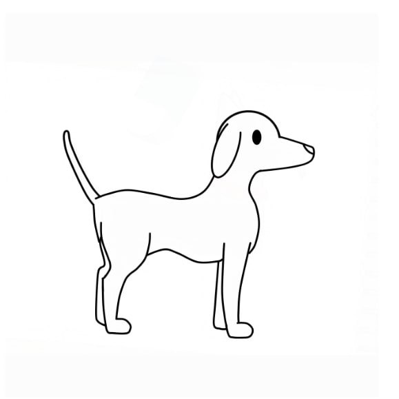 dessin chien etape 14