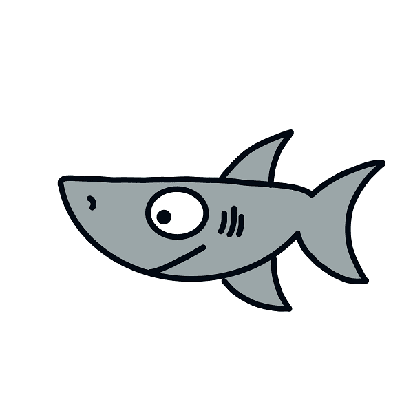 dessin requin etape 8