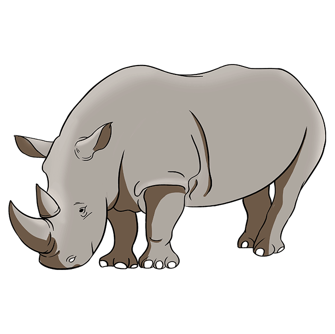 dessin-rhinoceros-etape-7