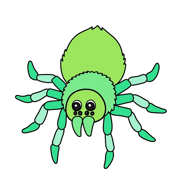 Spider 5 (9)