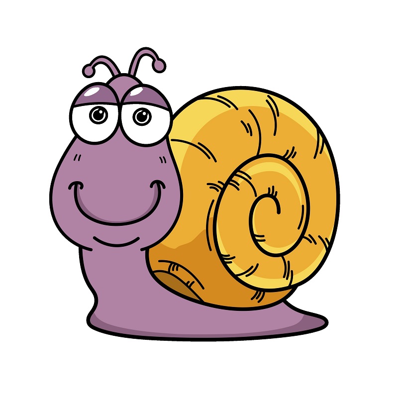 Snail 4 (8)