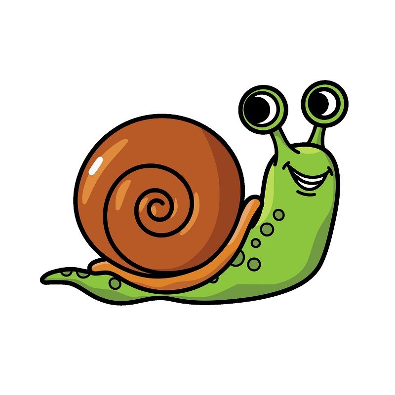 Snail 5 (6)