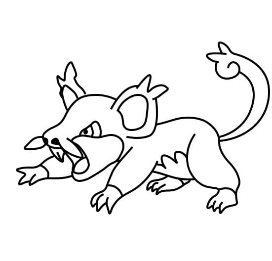 Dessin Pokémon Rattata