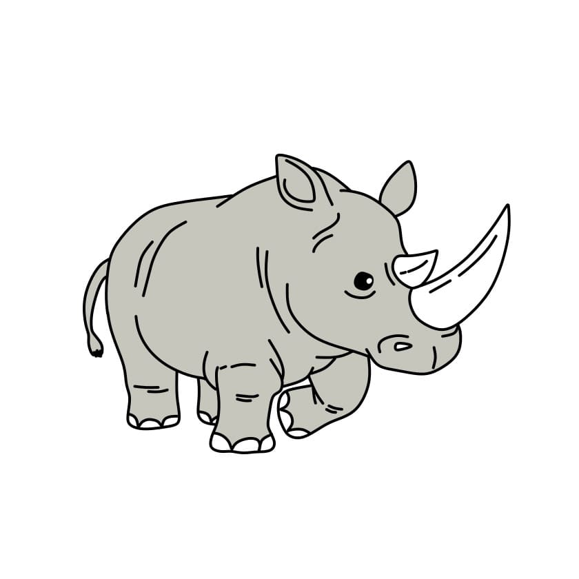 disegna-rinoceronte-passo13-1