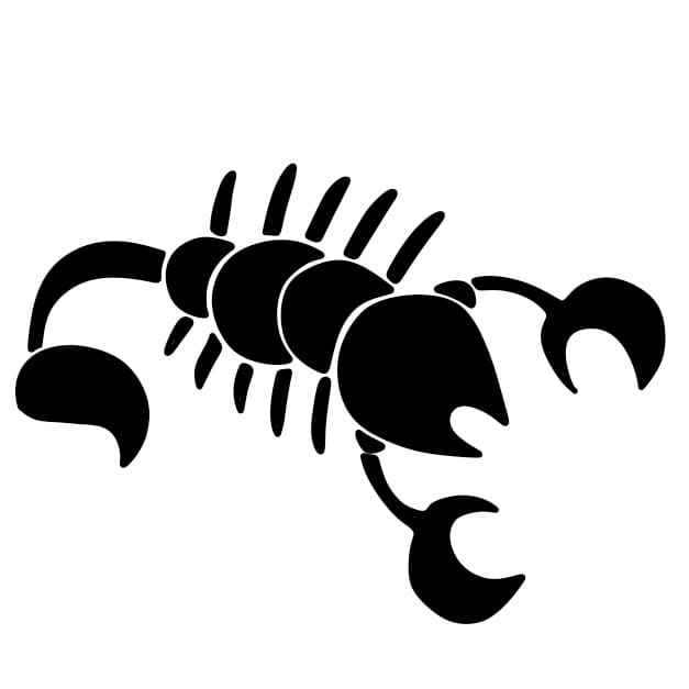 Dessiner-un-scorpion-etape6-3