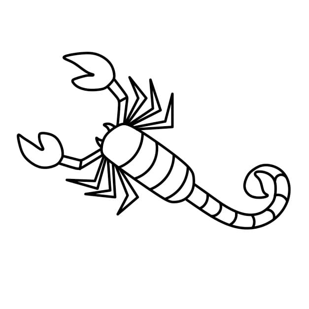 Dessiner-un-scorpion-etape8-5
