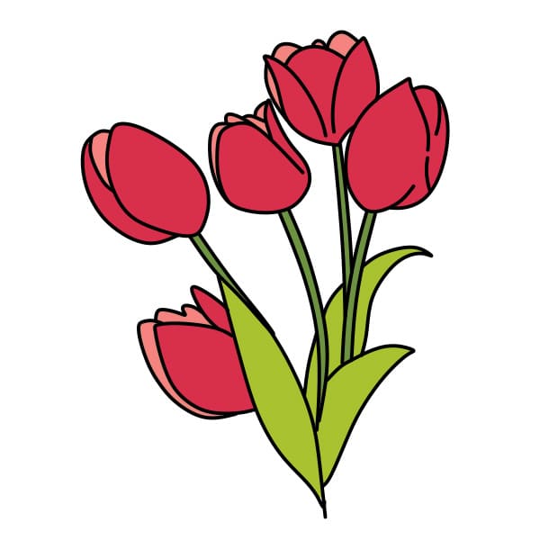 Dessiner-des-tulipes-etape6-3