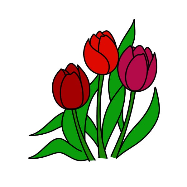 Dessiner-des-tulipes-etape7-1