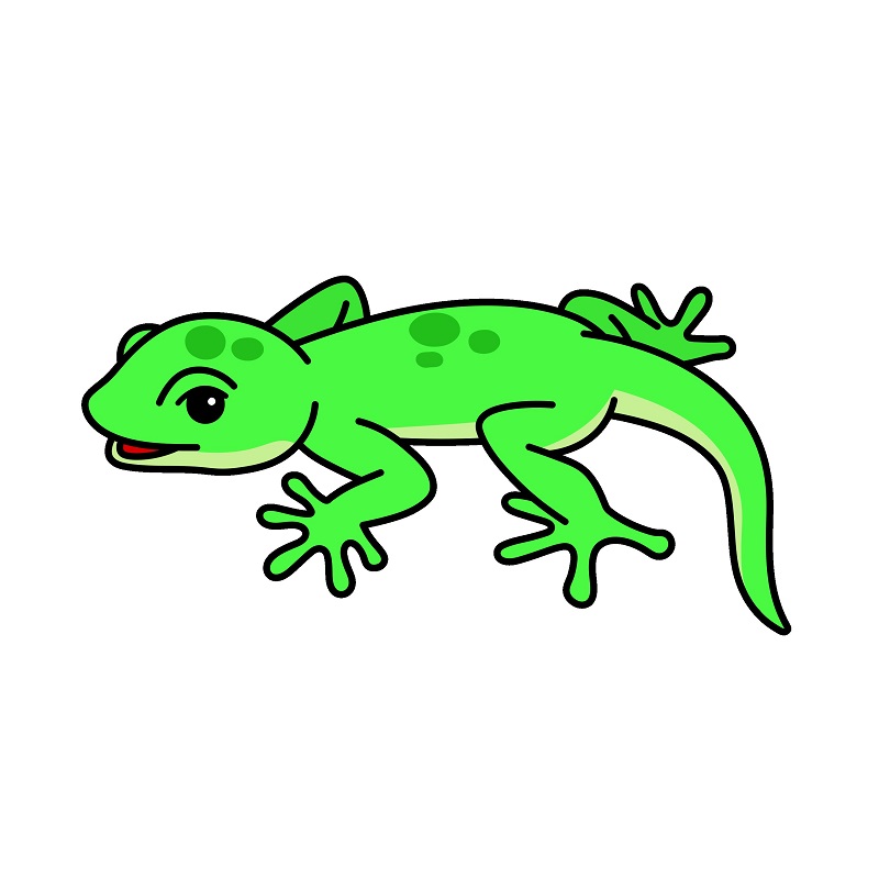 Lizard 5 (8)