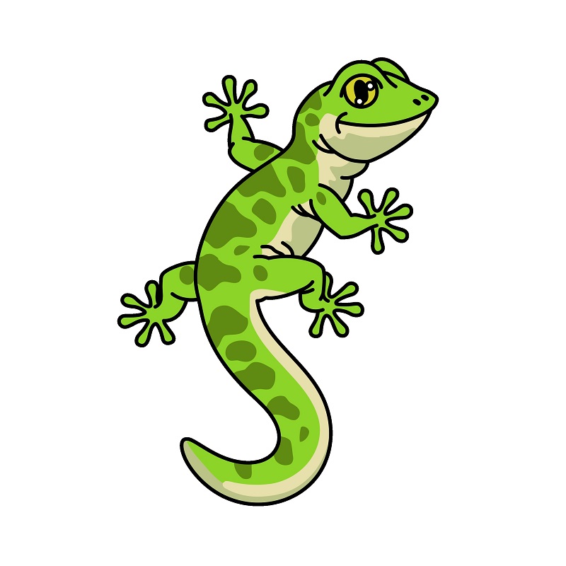 Lizard 6 (8)