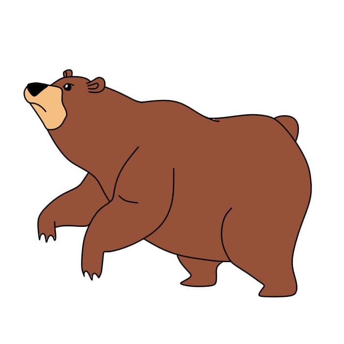 Comment-dessiner-un-ours-etape8-4