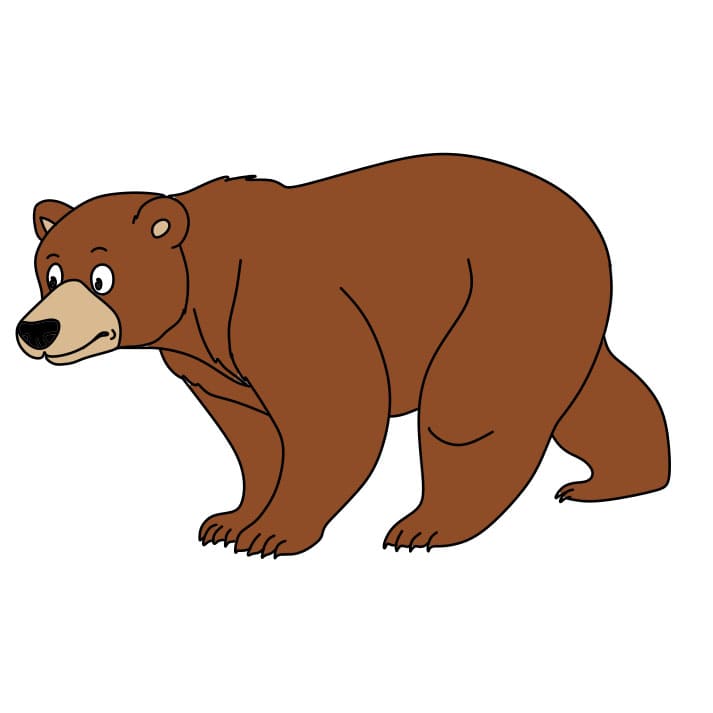 Comment-dessiner-un-ours-etape8
