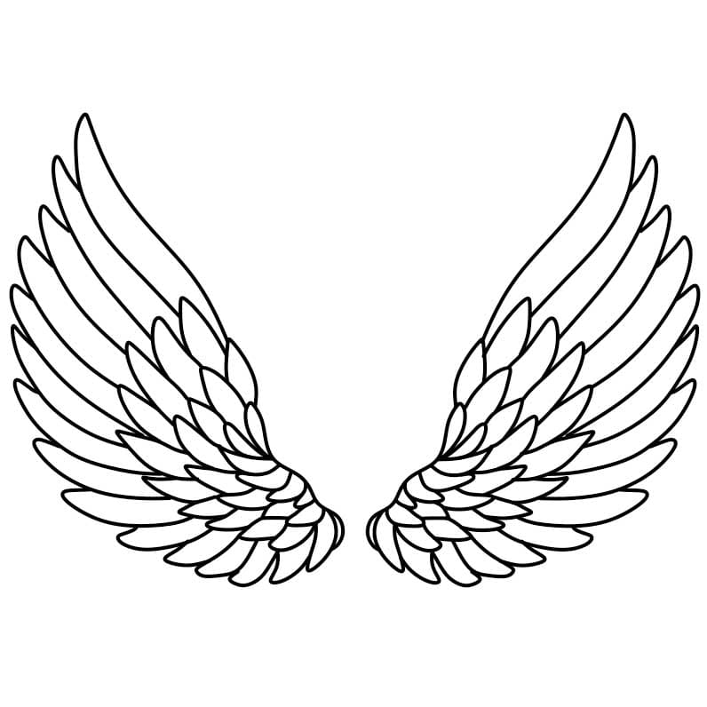 Comment-dessiner-des-ailes-dange-Etape-5-2