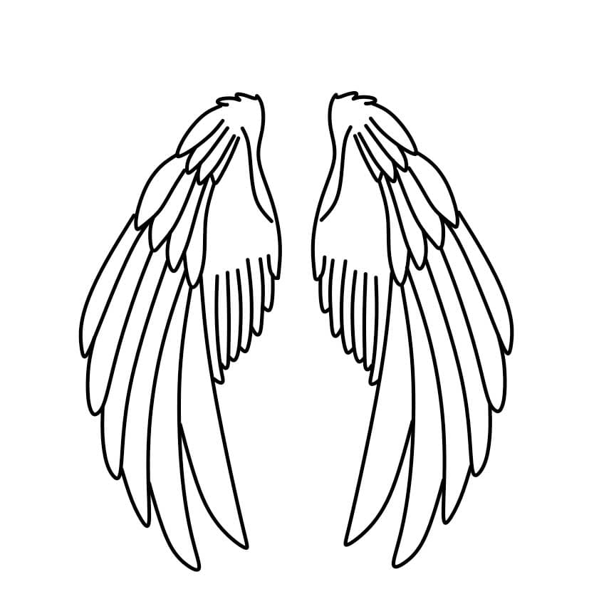 Comment-dessiner-des-ailes-dange-Etape-5-6