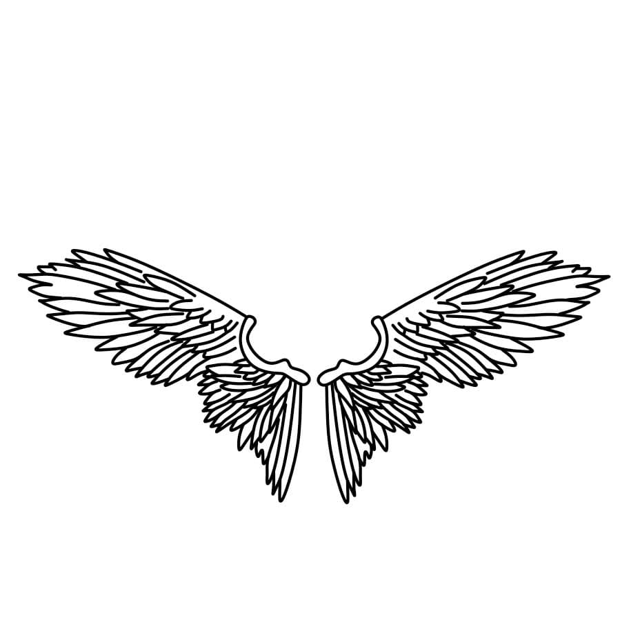 Comment-dessiner-des-ailes-dange-Etape-6-3