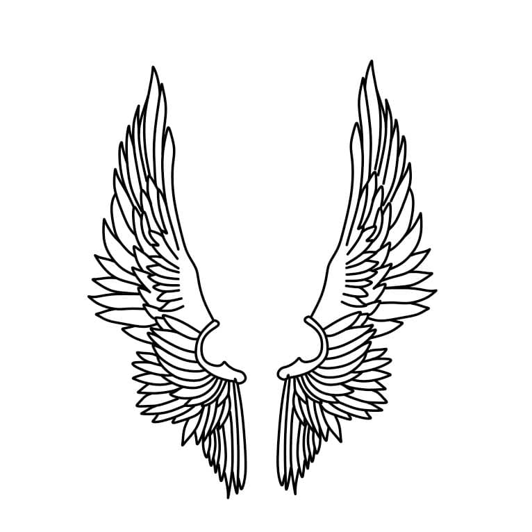 Comment-dessiner-des-ailes-dange-Etape-8