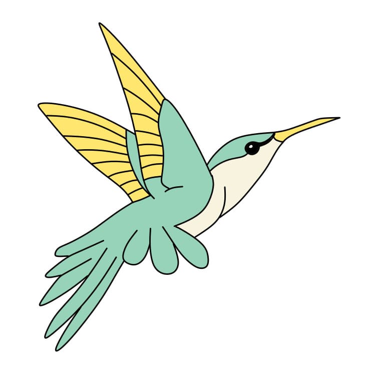 Comment-dessiner-un-colibri-Etape-8-5