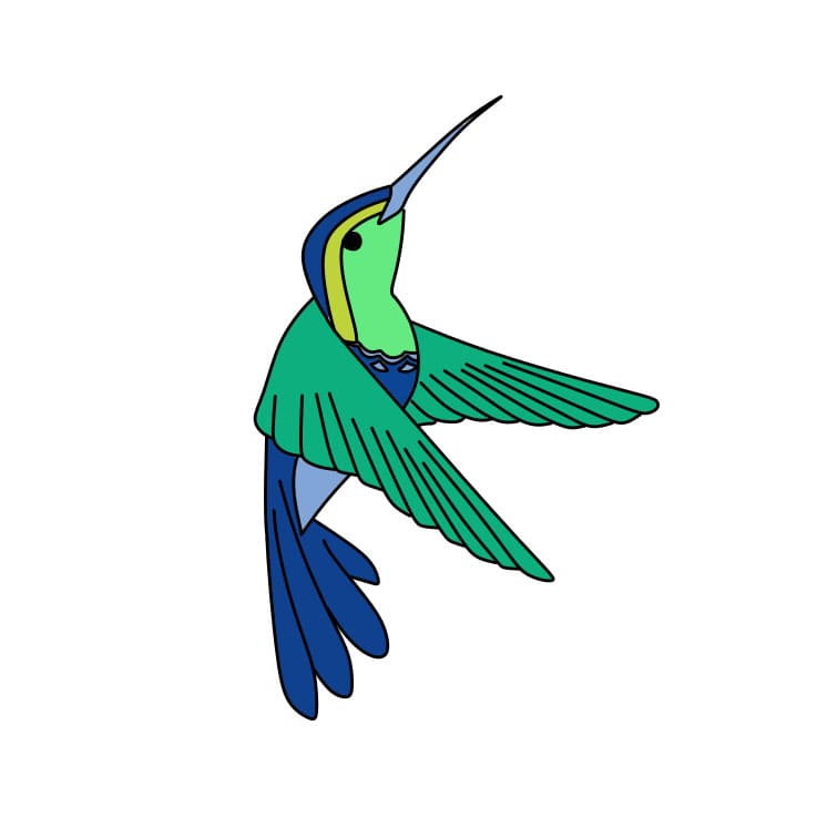 Comment-dessiner-un-colibri-Etape-8-7
