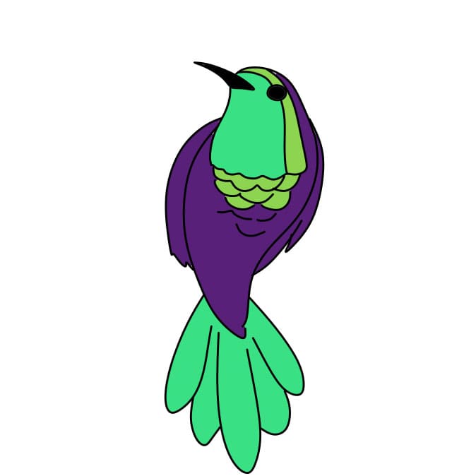 Comment-dessiner-un-colibri-Etape-8-9