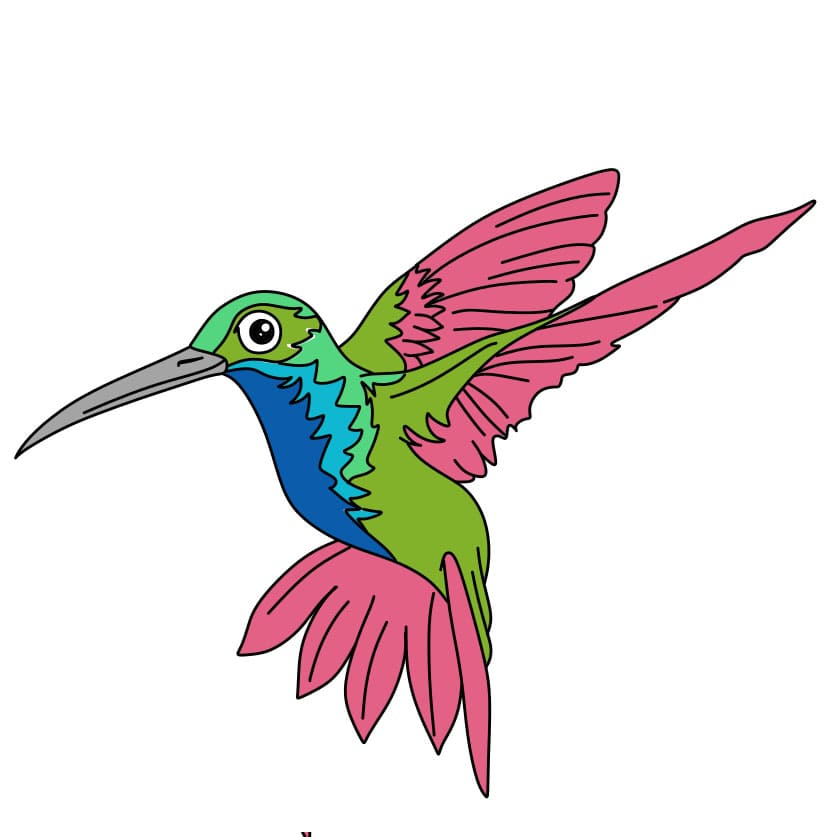 Comment-dessiner-un-colibri-Etape-9
