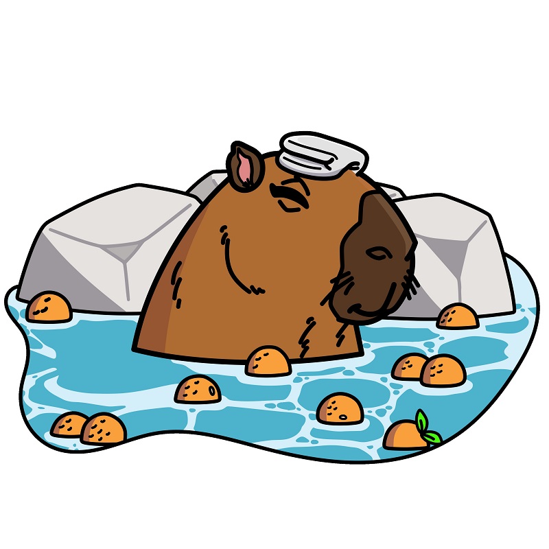 Capybara 5 (10)