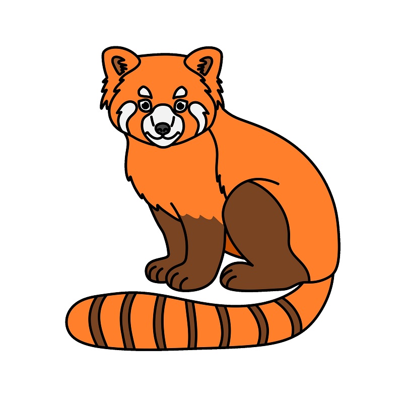 Red Panda 4 (10)