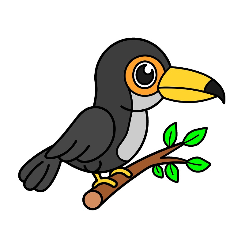 Toucan 2 (9)