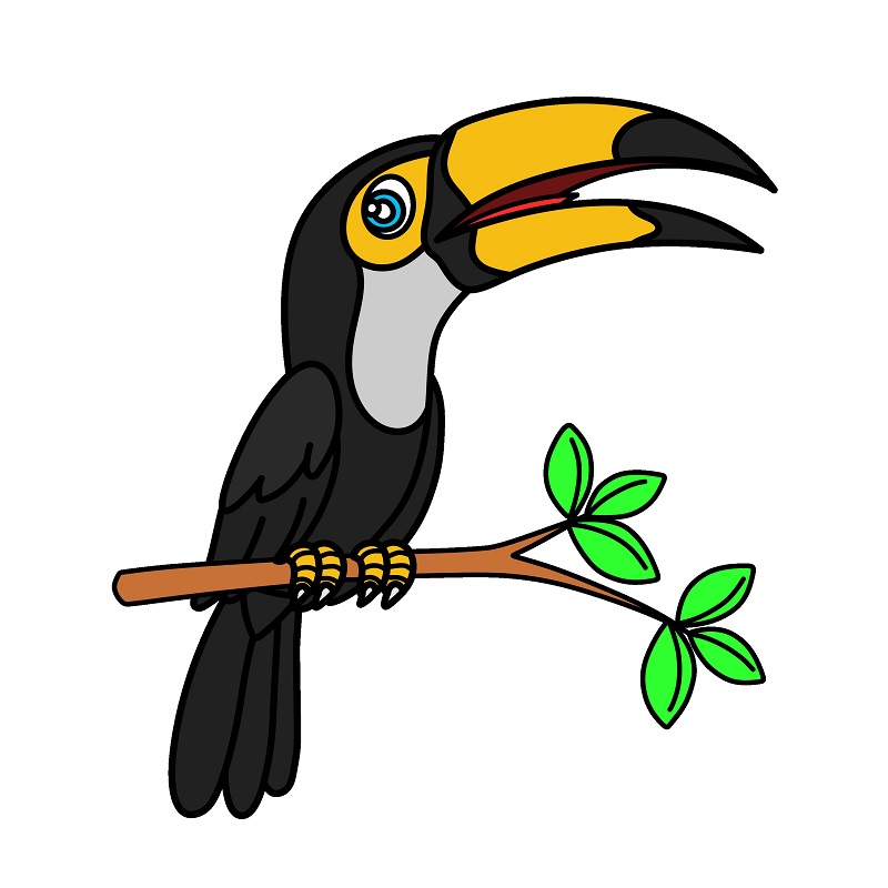 Toucan 3 (10)