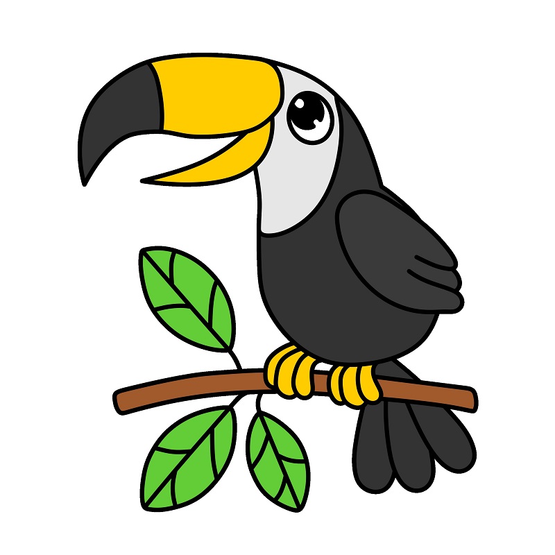 Toucan 5 (8)