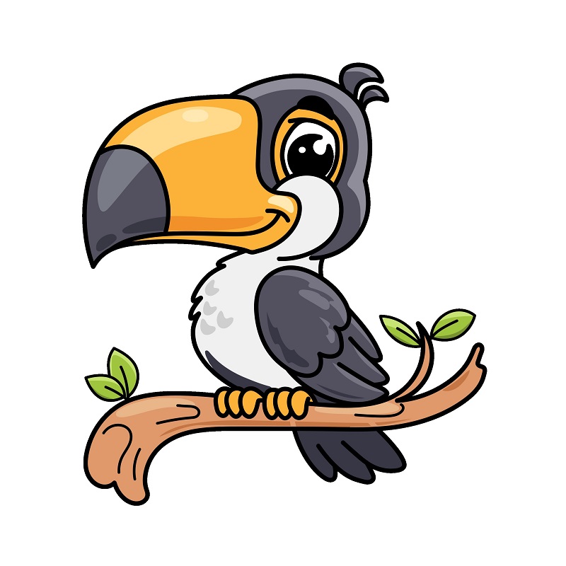 Toucan