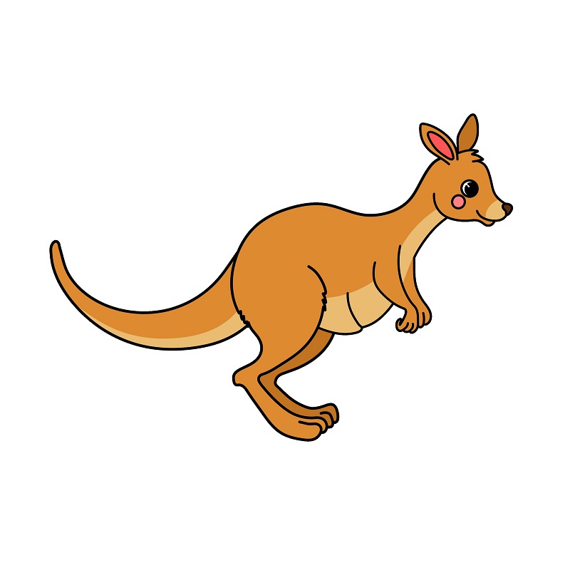 Kangaroo 2 (9)