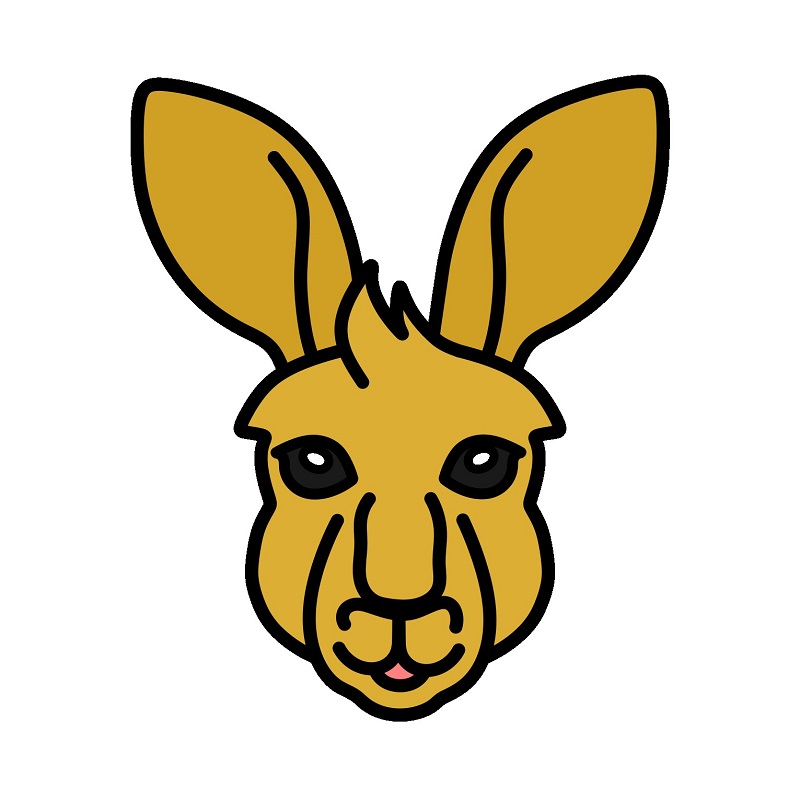 Kangaroo 4 (8)