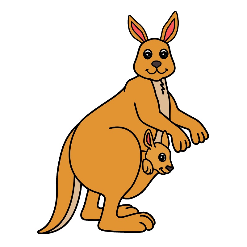 Kangaroo 5 (9)