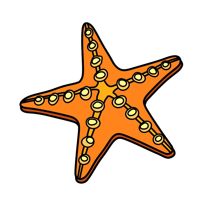 Starfish 1 (6)