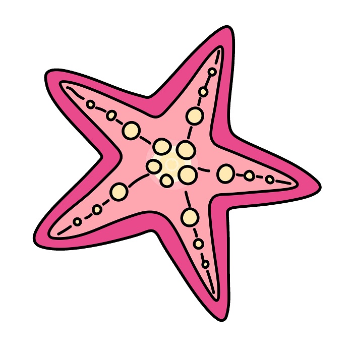 Starfish 2 (6)