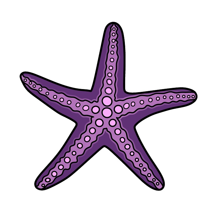 Starfish 3 (5)