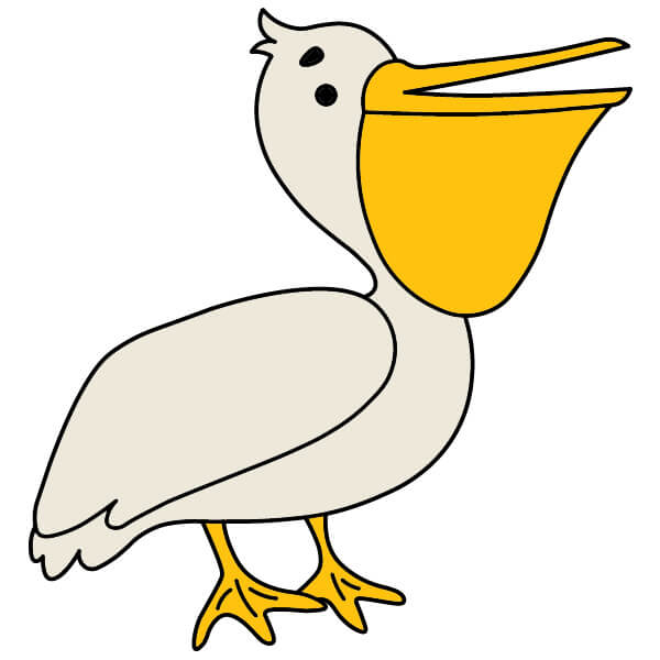 Dessin Pélican