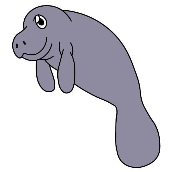 Lamantin 5-8