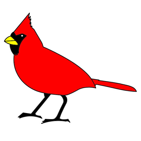Cardinal